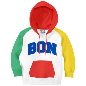 Boys Multi Color Embroidery Hoodies